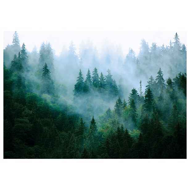 Fototapeta Lesní krajina ráno v mlze zelený les vinylová 208x146 lepidlo