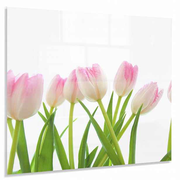 Ochranný Panel 4mm 60x50cm Dekorativní Tvrzený Do Kuchyně Lacobel