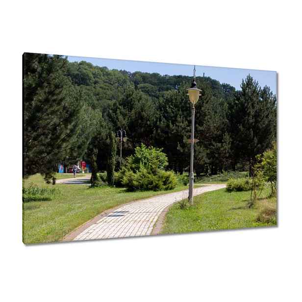 Obrazy 120x80 Zelený park se stromy
