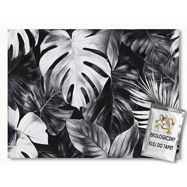 Fototapeta Flizelina Šedá Listy Monstera Palma Glamour 312x219 130g