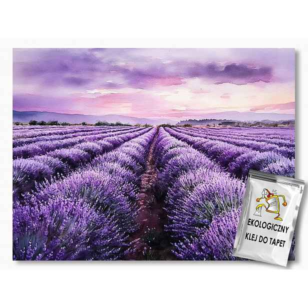 Fototapeta Flizelina Krajina Pole Louka Levandule Květy Fialová 254x184 130g
