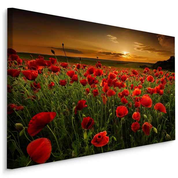 Plátno Pole Vlčích Máků Při Západu Slunce 3D Varianta: 120x80
