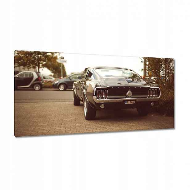 Obrázky 115x55 Ford Mustang Černobílá