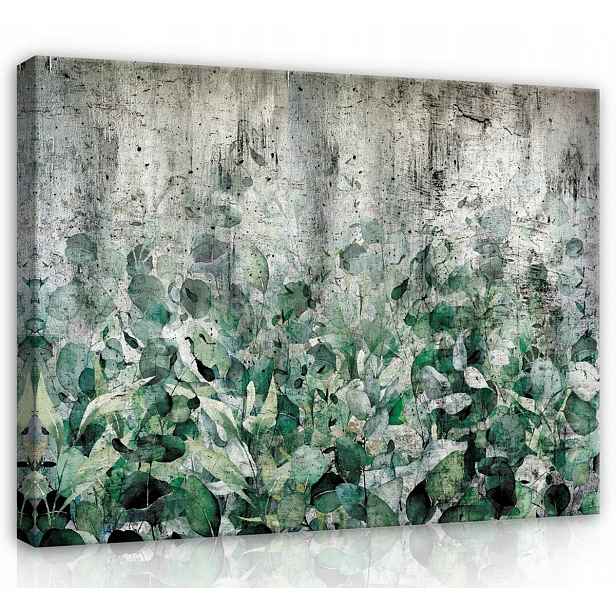 Obraz Na Plátně Canvas 70x50 Listy Rostliny Zeleň Betonová Stěna Imitace