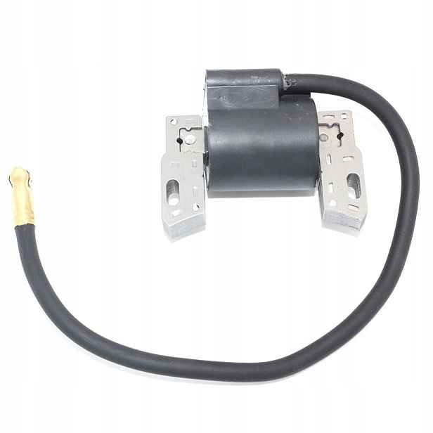 Zapalovací modul cívka B&s 2-4HP 490010 398593