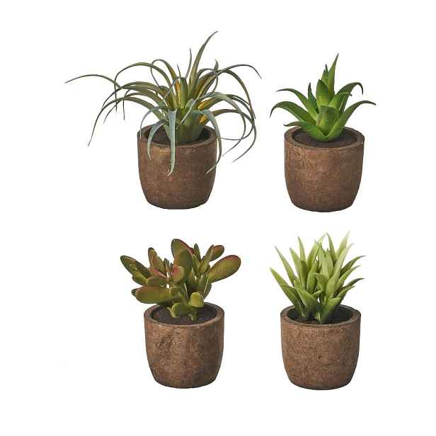 Umělé rostliny v sadě 4 ks (výška 10 cm) Cactus – Casa Selección