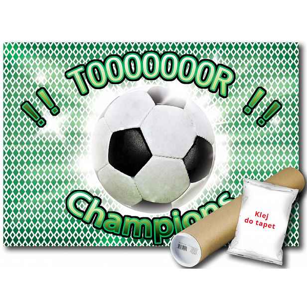 Fototapeta Fotbal Hřiště V4 254x184 F435