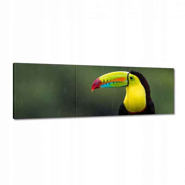 Obrazy 120x40 Ptáci