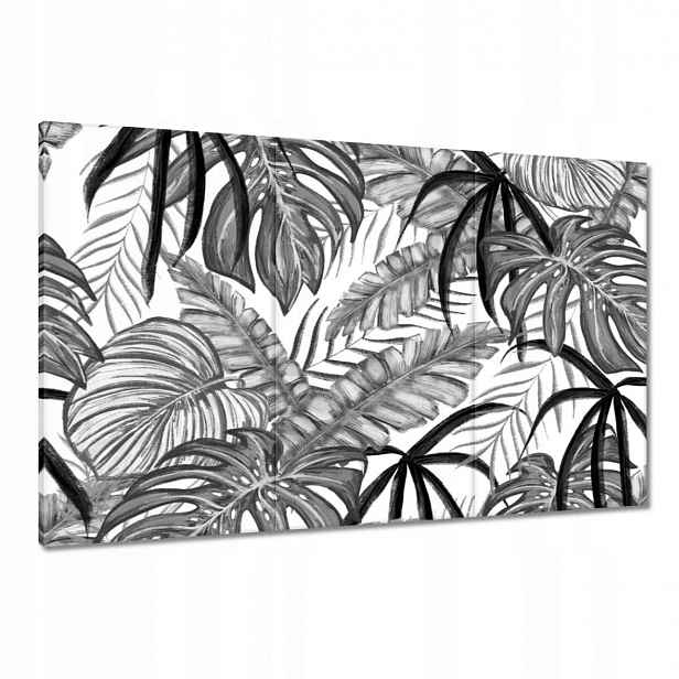 Obrazy 120x80 Monstera Zelený list