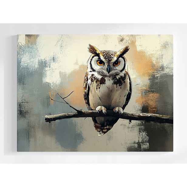 Plakát Pták Sova Portrét Fauna Příroda 100x75