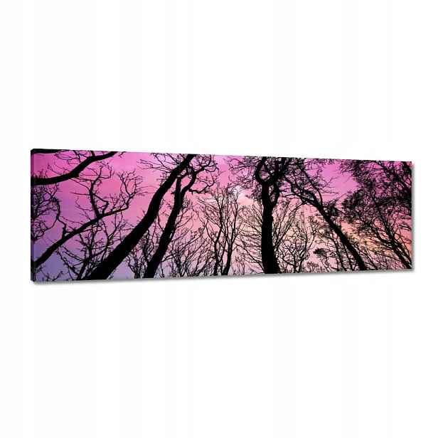 Obrazy 120x40 Les Stromy Pohled zdola