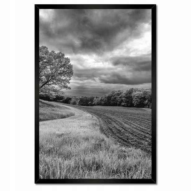 Plakáty v rámu 40x60 Černobílé pole