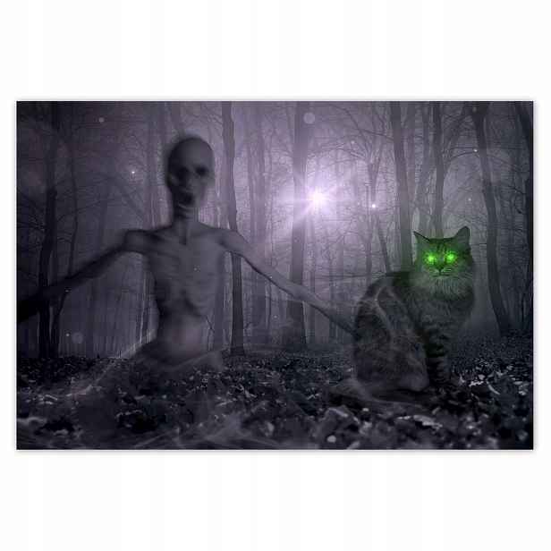 Plakáty 200x135 Kočka Alien Limetka Kočky