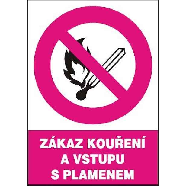 Samolepka zákazová Zákaz kouření a vstupu s plamenem A5