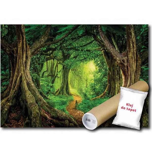 Fototapeta Flizelina Les Stezka Fantasy 416x254