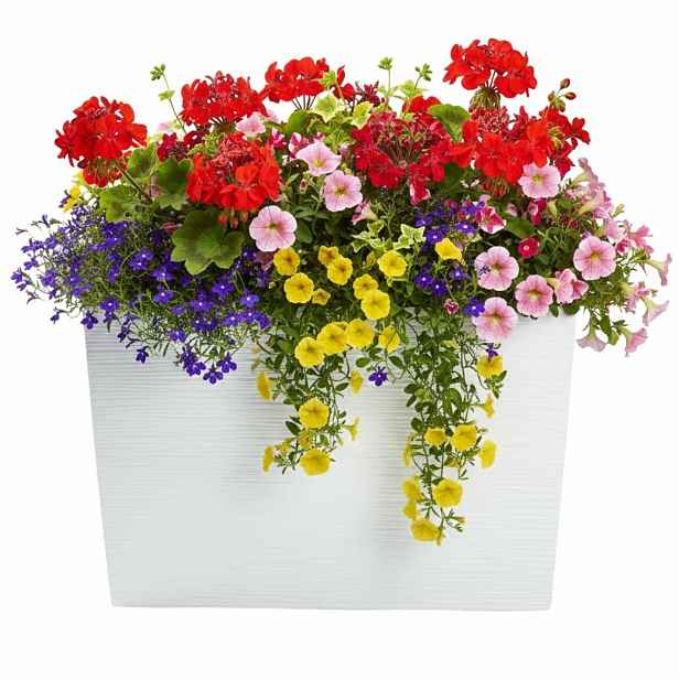 HowHomely Plastový květináč Bloom Riflo 36,2x56,1 cm bílý
