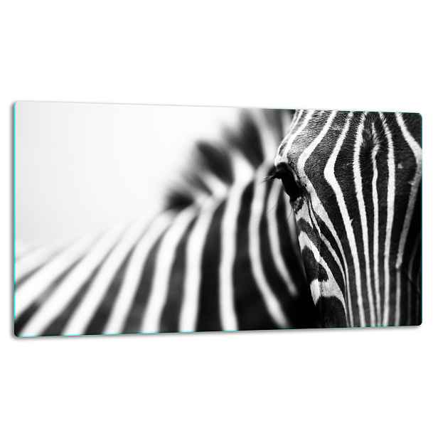 7v1 Skleněná Deska Na Krájení 52x30 Zebra
