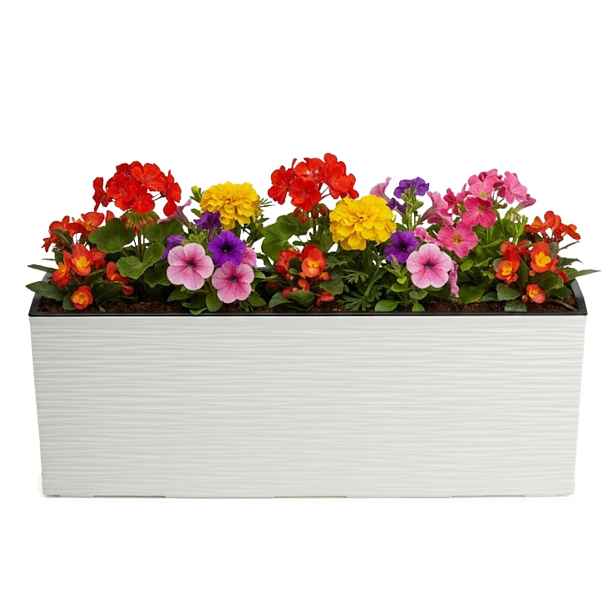 HowHomely Plastový květináč Bouquet Riflo 56x19 cm krémový