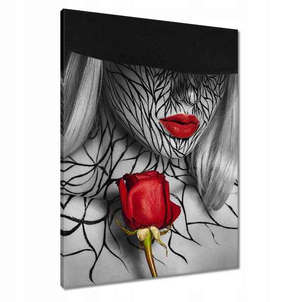 Obrazy 60x80 Červené rty a červená růže