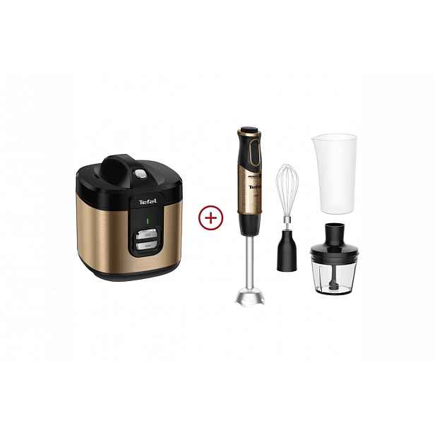 Akční set spotřebičů Tefal Coppertinto RK364G10 + HB656G10