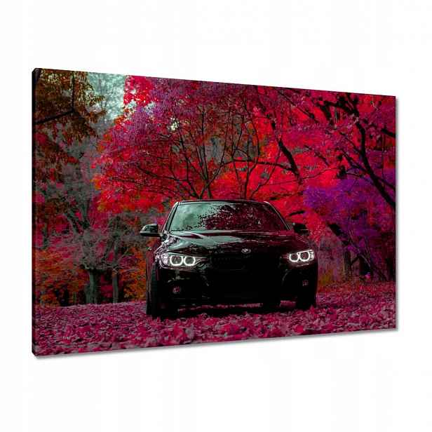 Obrazy 100x70 Černé Bmw Podzim