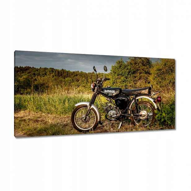 Obrazy 115x55 Černý Simson čtyřka 4