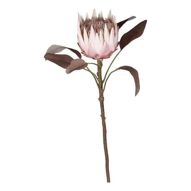 Dekorace květina Protea - 66 cm Chic Antique