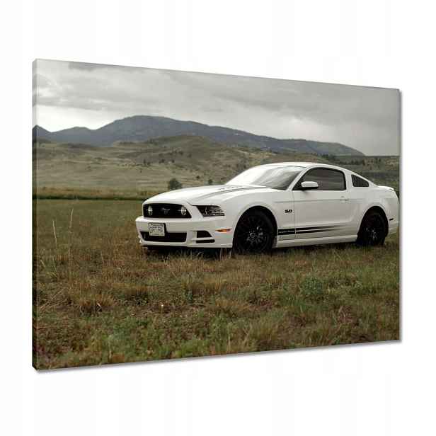 Obrazy 80x60 Bílý Ford Mustang