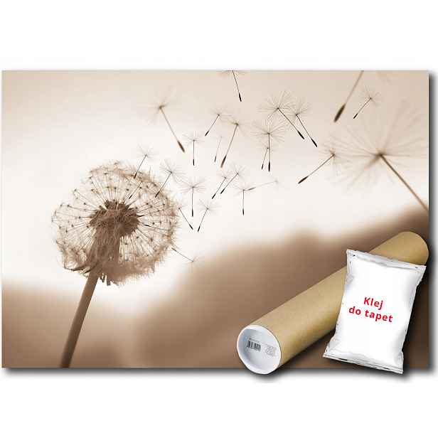 Vinylová Fototapeta Pampeliška Vítr 254x184