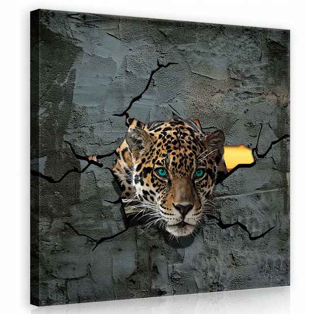 Obraz 80x80 Jaguar Pohled dravce zpoza šedé zdi Příroda Loft