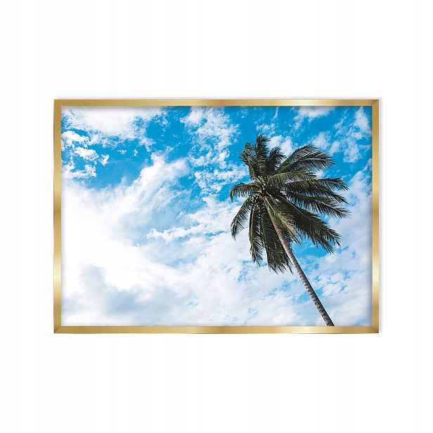 Obraz Palma na obloze 50x70 fotografie zlatý rám