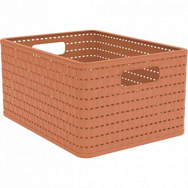 Rotho ÚLOŽNÝ BOX plast