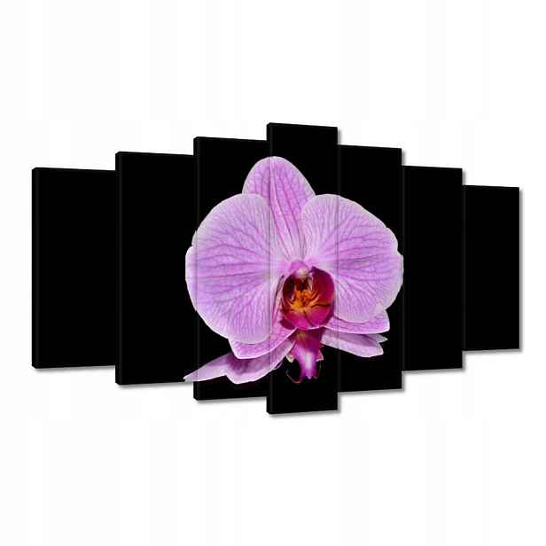 Obrazy 140x80 Fialový orchidej