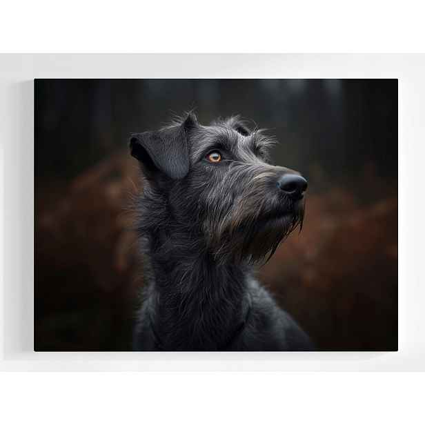 Plakát Portrét Psa Irský Vlkodlak Wolfhound 100x75