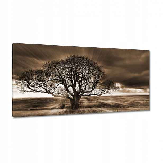 Obrazy 115x55 Krajina s magií