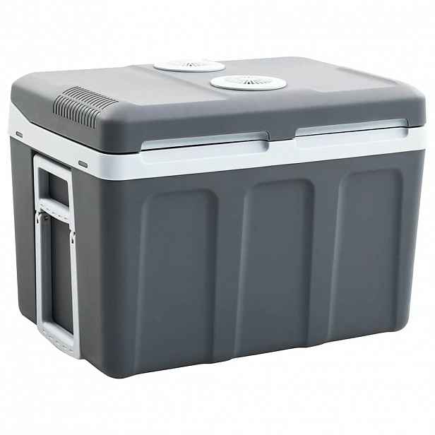vidaXL Přenosný termoelektrický chladicí box 40 l 12 V 230 V E