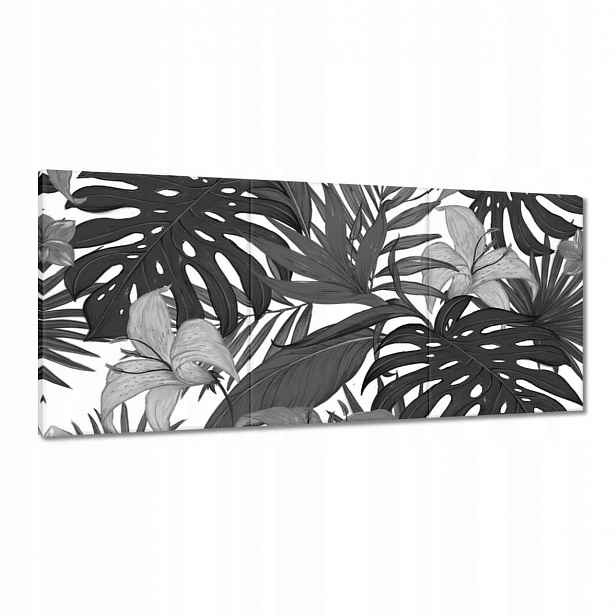 Obrazy 150x70 Černobílá monstera