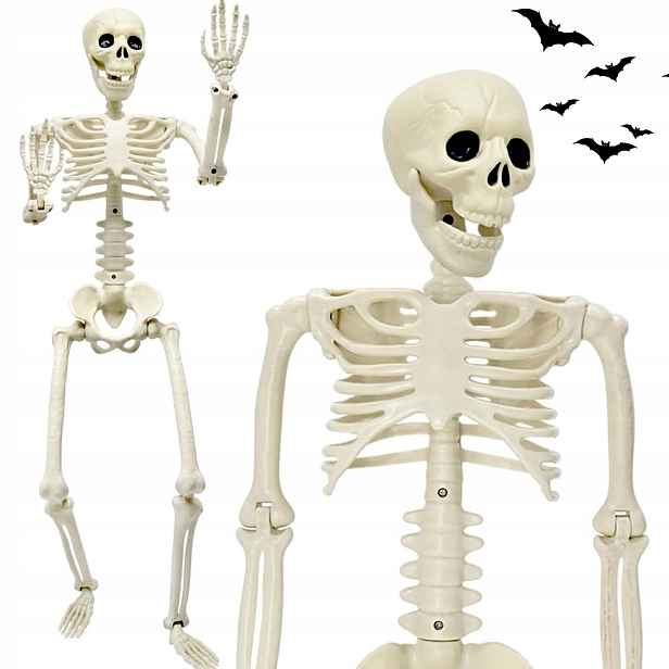 Kostra Člověka Kostlivec Velké Pohyblivé Prvky 94 CM Halloween