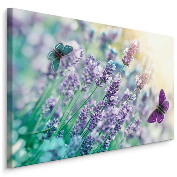 Plátno Levandule A Motýli Varianta: 120x80
