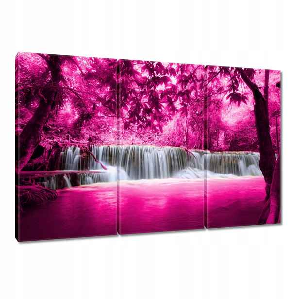 Obraz 120x80 Růžový vodopád