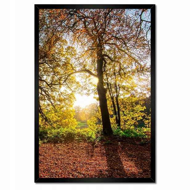 Plakáty v rámu 40x60 Krajina
