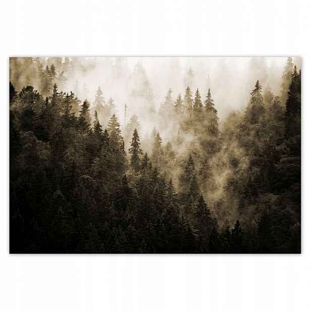 Fototapety 200x135 Krajina Sépie Hory Mlha