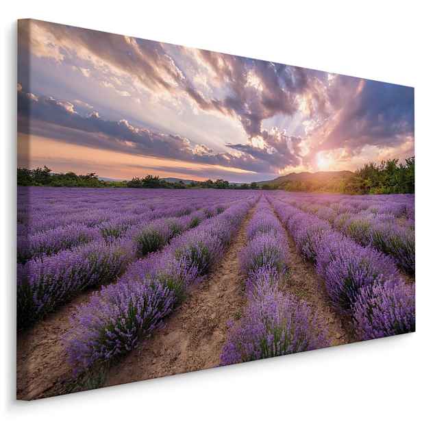Plátno Levandulové Pole Při Západu Slunce II. Varianta: 40x30