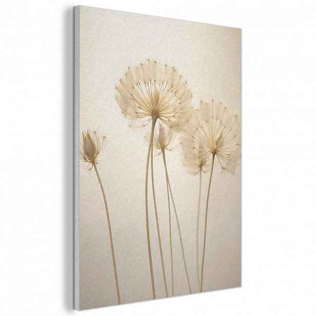 MuchoWow AKUSTICKÝ obraz Sluneční světlo - Pampeliška - Botanické - Květiny 60x80 cm