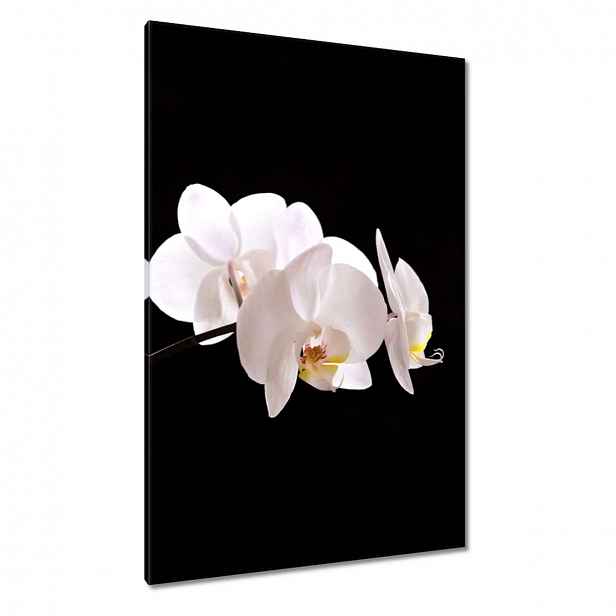 Obrazy 80x120 Bílý orchidej