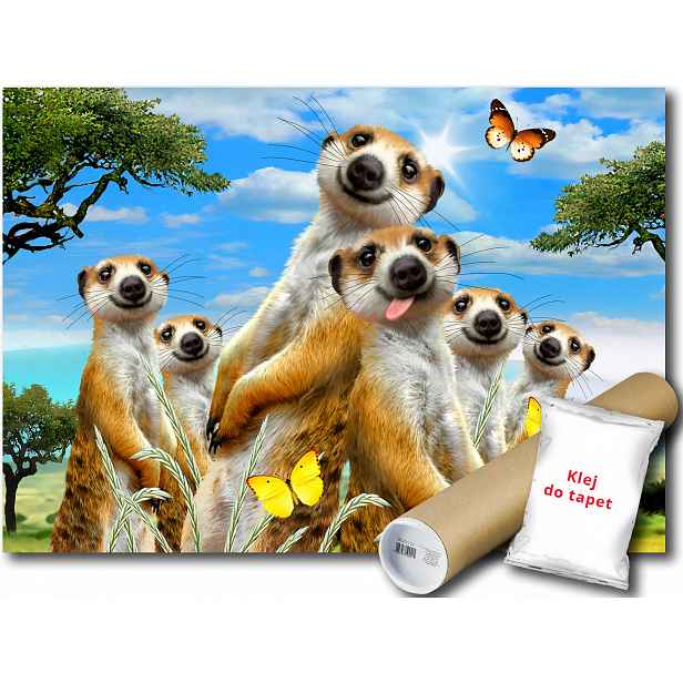 Vinylová fototapeta Surikaty 104x70,5