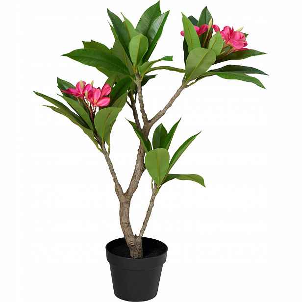 Stromek Frangipani V Květináči 50 X 50 X 90 CM Růžový Umělý