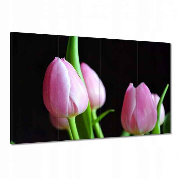 Obrazy 120x80 Fialové tulipány
