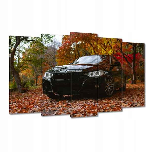 Obrazy 100x60 Černé Bmw Podzim