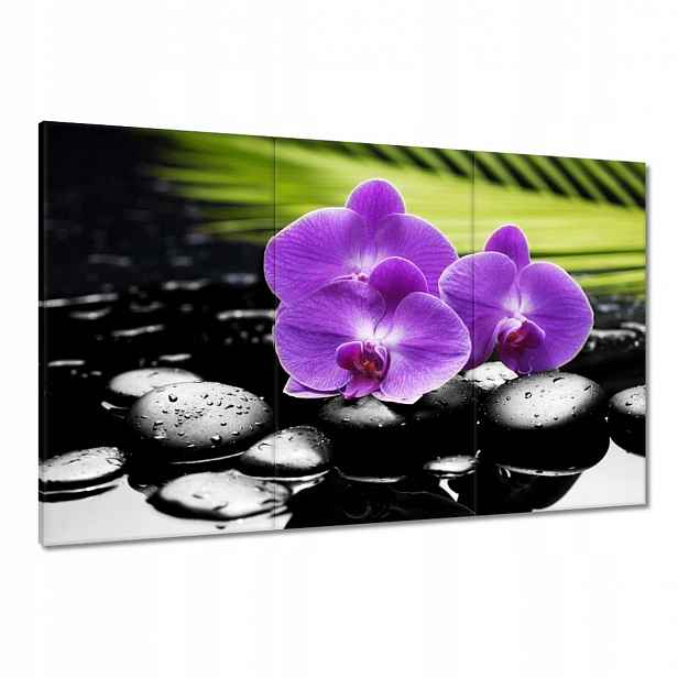 Obrazy 120x80 Fialové orchideje